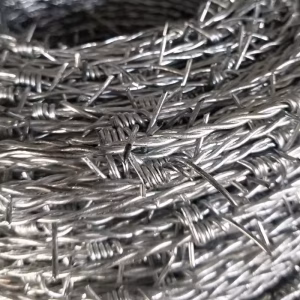 Rollo de alambre de púas de acero galvanizado barato, valla protectora para granja de jardín, 2,3mm x 10 metros, precio bajo